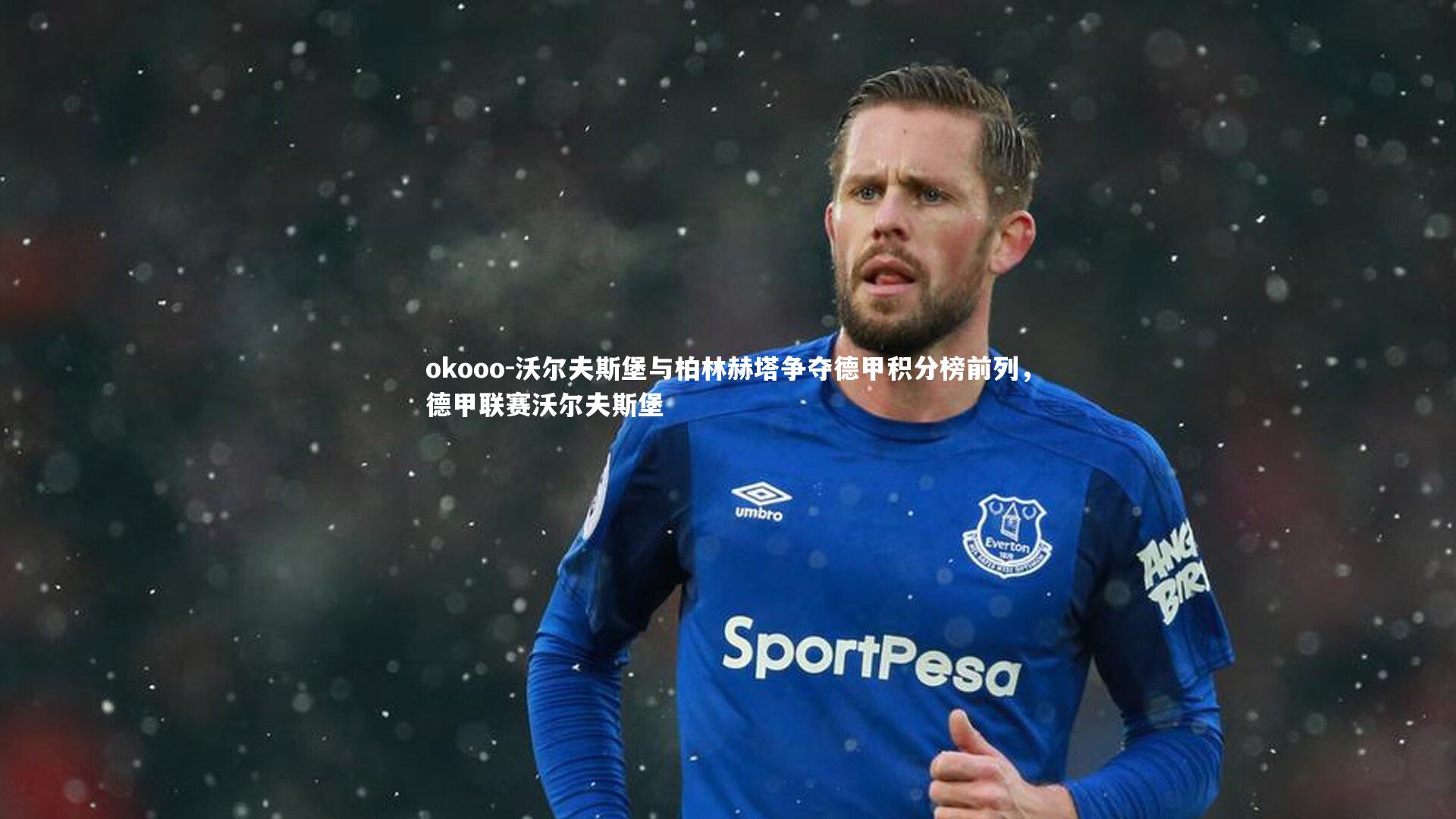 沃尔夫斯堡与柏林赫塔争夺德甲积分榜前列，德甲联赛沃尔夫斯堡